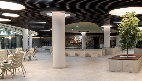 Opcja dodatkowa: Strefa SPA