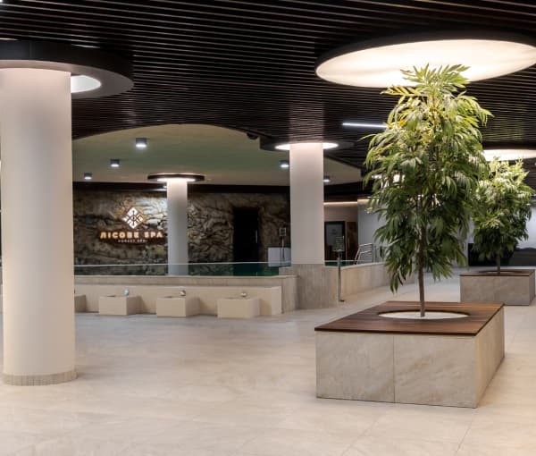 Opcja dodatkowa: Strefa SPA
